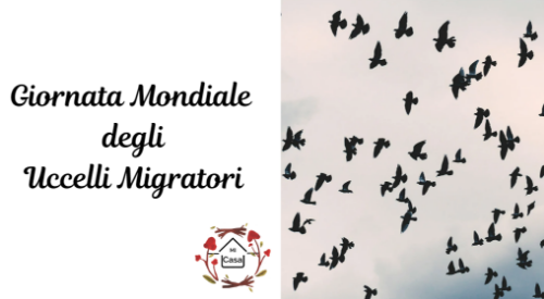 Giornata Mondiale della Uccelli Migratori